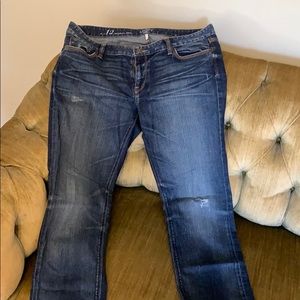 Ann Taylor loft jeans